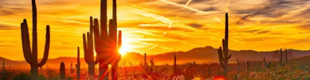 Tina Cramp, PLLC Top real estate agent in Casa Grande