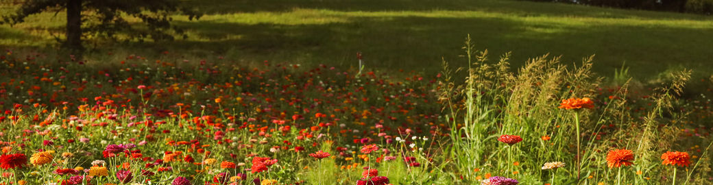 Whitney Harvey Top real estate agent in Chattanooga