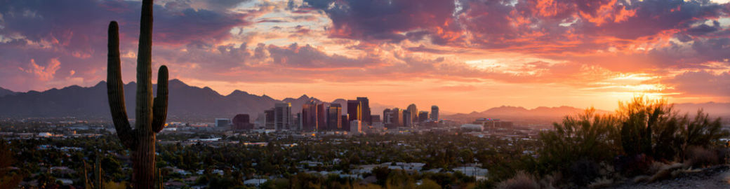 Ashlee Donaldson Top real estate agent in Scottsdale