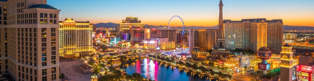 Joe Chicoski Top real estate agent in Las Vegas