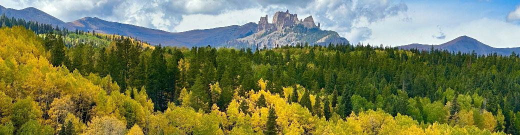 Jana Barrett Top real estate agent in Crested Butte