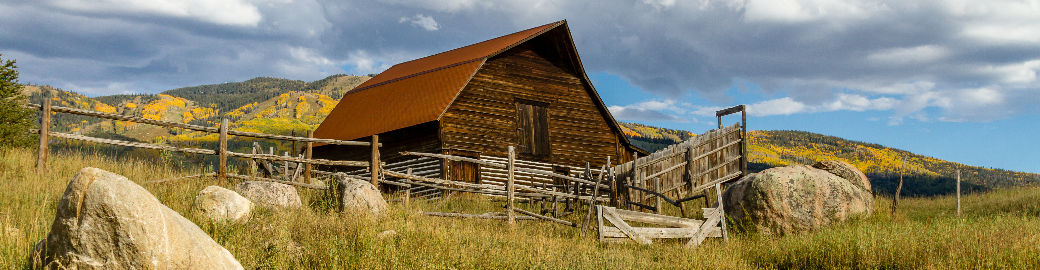 Cheryl Foote Top real estate agent in Steamboat Springs