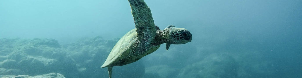 BreAsia Hamlin Top real estate agent in Grand Blanc