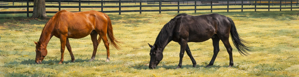 Miriam Graybeal Top real estate agent in Columbia