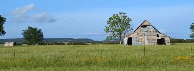 Jennifer Schill Top real estate agent in Houston