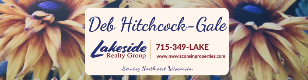 Deb Hitchcock-gale Top real estate agent in Webster 