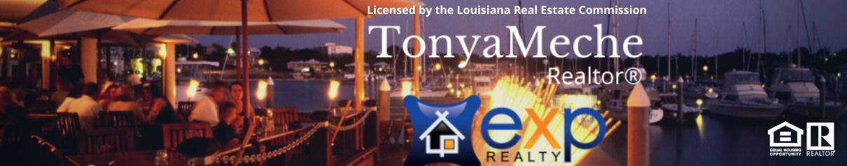 Tonya Meche Top real estate agent in Lake Charles 
