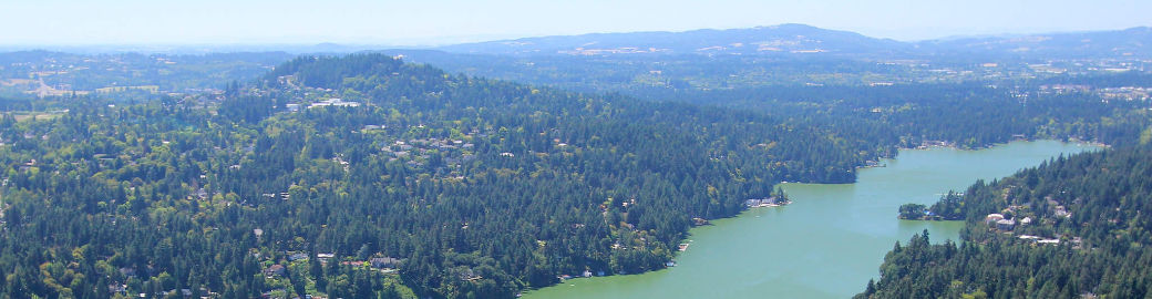 Laura Piccard Top real estate agent in Lake Oswego