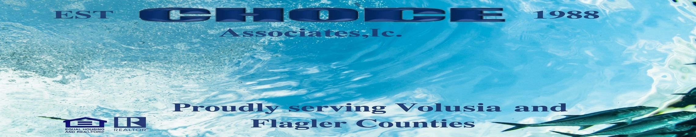 Bianca Yasika Top real estate agent in Daytona Beach