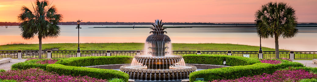 Shawn Pillion Top real estate agent in Summerville