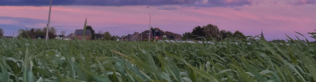 Erin Rundall Top real estate agent in West Des Moines