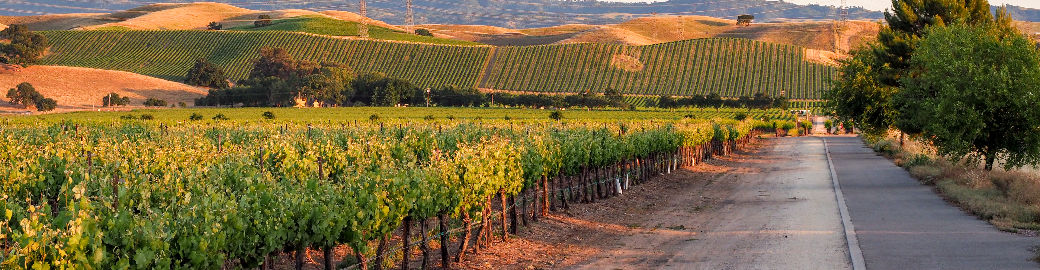 Sam Costello Top real estate agent in Pleasanton