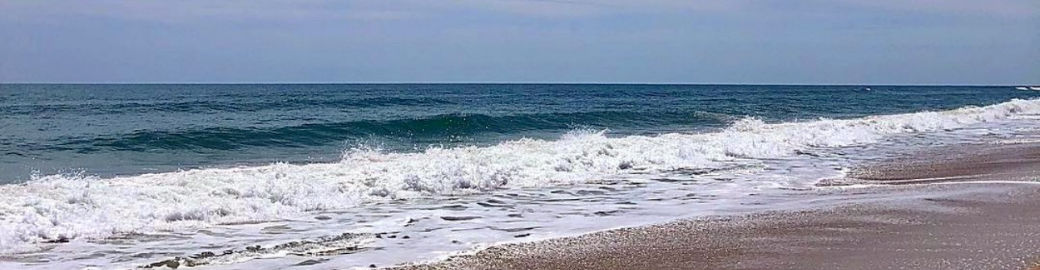 Sandy Wiedman Top real estate agent in Satellite Beach