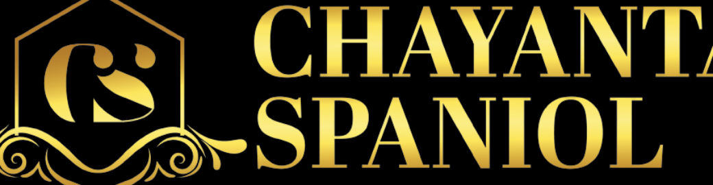 Chayanta Spaniol Top real estate agent in Lisle 