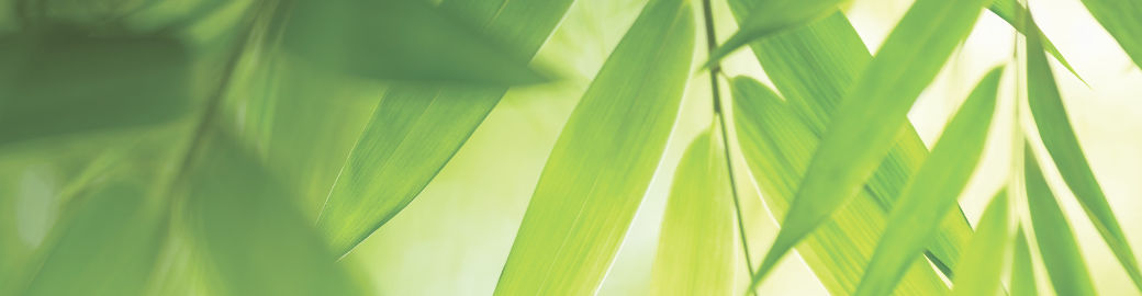 Kelly Shaw Top real estate agent in Kailua Kona