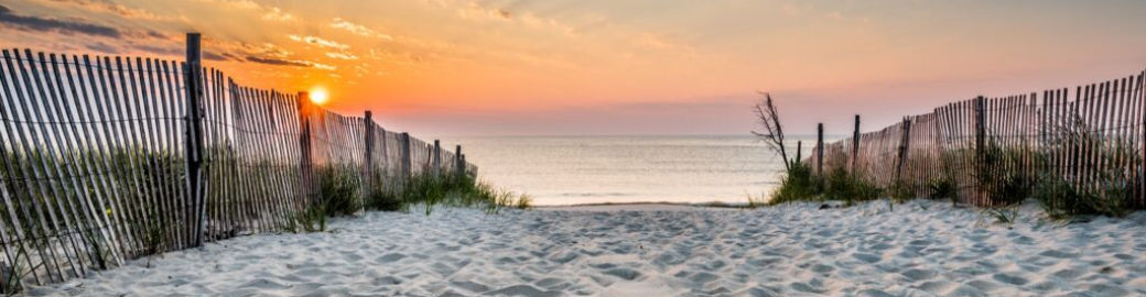 The Barnhardt Group Top real estate agent in Bethany Beach 