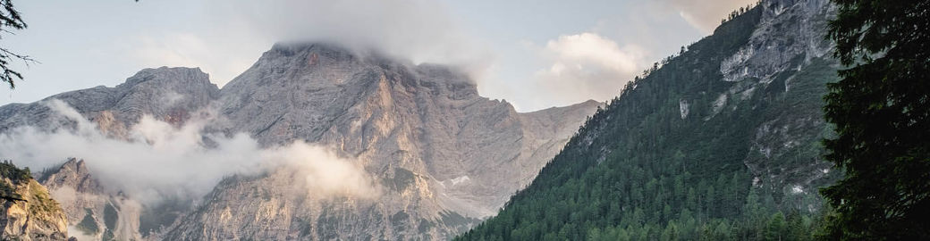 Ricardo Tippitt Top real estate agent in Little Rock