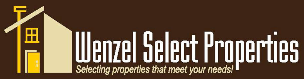 Lisa Wenzel Top real estate agent in Downers Grove 