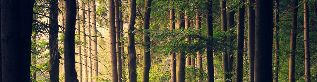 David Stevens Top real estate agent in Senatobia