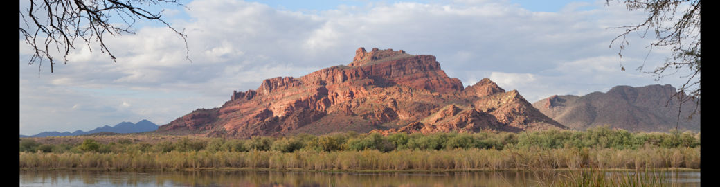 Lori Hinkes Top real estate agent in Gilbert 