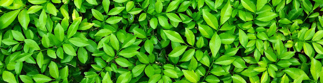 Jessica Myers Top real estate agent in Menlo Park