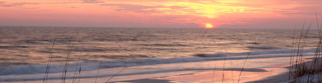 Rita Sessions Top real estate agent in Robertsdale