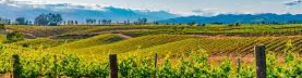 Tyler Smith Top real estate agent in Temecula