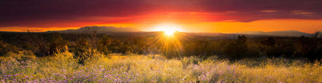 Bunny Terry Top real estate agent in Santa Fe 