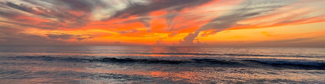 Shannon Trayers Top real estate agent in Cape Canaveral