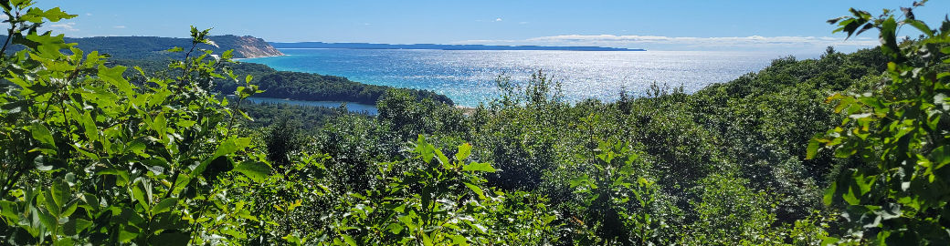 Debby Consiglio Top real estate agent in Clinton Township