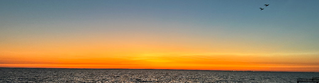 Adrian Maldonado Top real estate agent in Daphne