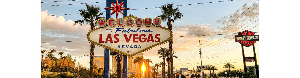 Veronika Bozhilova Top real estate agent in Las Vegas