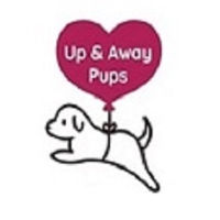 Up & Away Pups