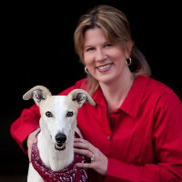 Amy Lee Hoffmann Top real estate agent in Castle Rock