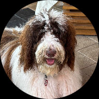 Trusted Pro Image