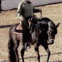 Mark Rochester Top real estate agent in Santa Fe