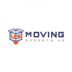 Moving Experts