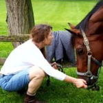 CHRISTINE GARDNER Top real estate agent in Kinnelon