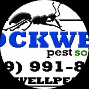 Rockwell Pest Solutions