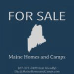 Dana Curtis Top real estate agent in Auburn