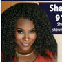 Shanee Sampson Top real estate agent in Fayetteville