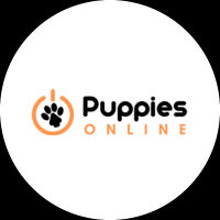 Little Puppies Online