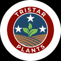 Tristar Plants