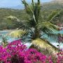 Denise Fraguela Top real estate agent in St. Thomas, Virgin Islands