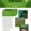 Marketing Material Thumbnail