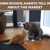 Marketing Material Thumbnail