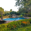 Marketing Material Thumbnail