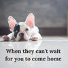 Marketing Material Thumbnail